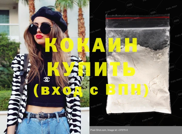 индика Покачи