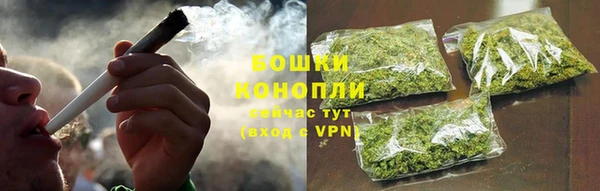 индика Покачи