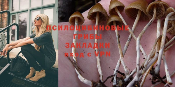тгк Покров