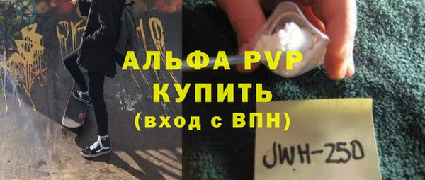 индика Покачи