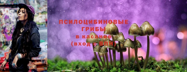 гашик Покровск