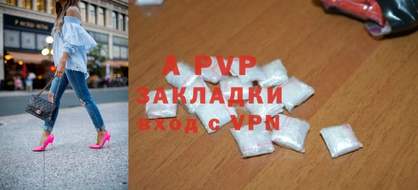 индика Покачи