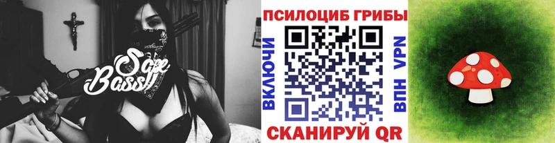 мега ССЫЛКА  купить закладку  Заводоуковск  Псилоцибиновые грибы Psilocybine cubensis 